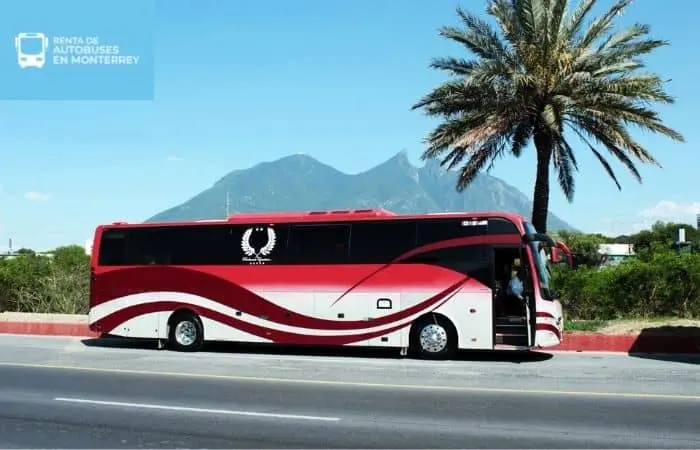 autobús para 30 personas