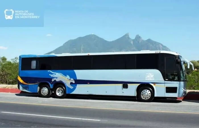 autobús para 50 personas